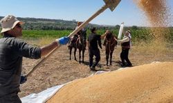 Diyarbakır'da 46 yıllık buz mesaisi: Tarlalara at sırtında teslimat