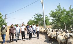 Diyarbakır’da kırsal mahallelerde yol ve çevre düzenleme çalışmaları
