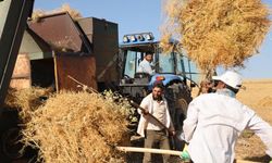 Diyarbakır'da 40 dereceyi aşan sıcakta ekmek mesaisi