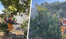 Diyarbakır'da ormanlık alanda yangın: 15 dönüme yakın alan kül oldu