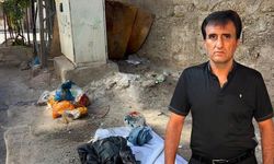 "Evde yemek yiyemiyoruz" Diyarbakır'da karasinek isyanı