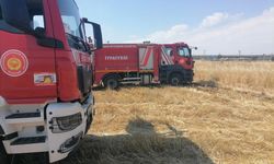 Diyarbakır'da peş peşe anız yangınları