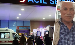 Diyarbakır’da kardeşlerden kahreden veda: Saatler arayla hayatlarını kaybettiler