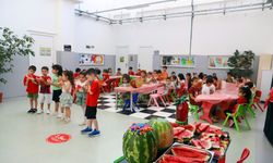 Diyarbakır'ın tescilli karpuzu şenlikle tanıtıldı