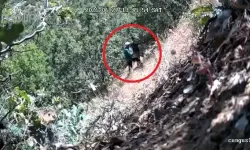 Diyarbakır’da fotokapanlı kenevir operasyonu: CHP İlçe Başkanı gözaltında