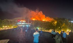 Diyarbakır’da Kırklar Dağı’nda korkutan yangın