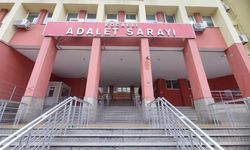 Misafirliğe geldiği evde kız çocuğunu istismar etti