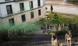 Diyarbakır'da TOKİ sakinleri endişeli: Çocuklarımızı parka götüremiyoruz