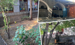 Diyarbakır'da Nebi Camii avlusu için tepki: Ücret var, hizmet yok