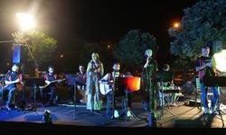 Diyarbakır'da yaz şenlikleri parklara taşındı