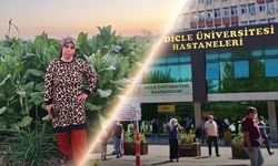 Diyarbakır’da acı olay: Tarlada fenalaşan kadın kurtarılamadı