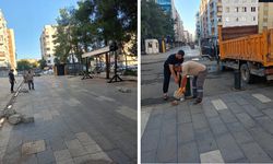Diyarbakır Sakarya Caddesi’nde temizlik mesaisi
