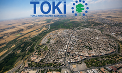 TOKİ Diyarbakır'da 8 arsayı satışa sunuyor: İhale tarihi belli oldu