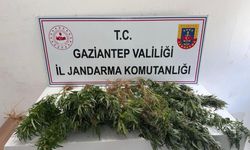 Gaziantep’te uyuşturucuya darbe