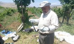 Bahçesinde yakaladığı yılanı doğaya bıraktı