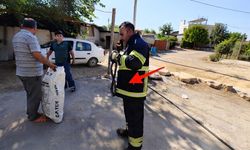 Diyarbakır'da ev sahiplerini korkutan misafir