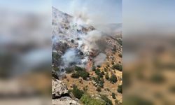 Diyarbakır'da örtü ve orman yangınları söndürüldü