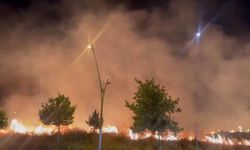 Diyarbakır'da korkutan yangın