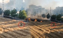 Diyarbakır’da anız yangınında tartışma yaratan görüntü: Müdahale sırasında ateş yaktığı iddiası!