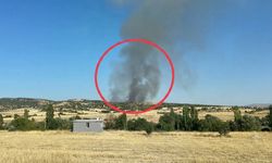 Diyarbakır'da ağaçlık alanda yangın paniği