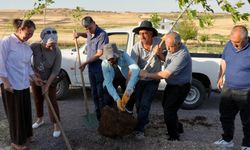 Diyarbakır'ın bu mahallesinde 8 günde büyük değişim