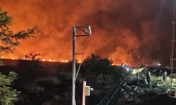 Diyarbakır'da geceyi aydınlatan anız yangını söndürüldü