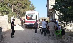 Fotoğraf çekmek hayatına mal oldu