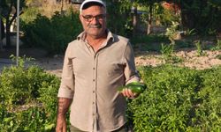 Kız kardeşinin organıyla hayat buldu