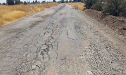 Diyarbakır’da 8 köyün kullandığı yol yıllardır yapılmıyor! Mahalleliden Büyükşehir’e Tepki