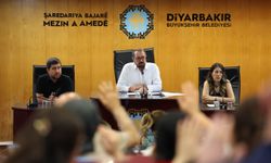 Doğan Hatun’un istifasının ardından Diyarbakır’da yeni 1. Başkan Vekili seçildi