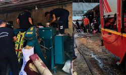Diyarbakır'da facia: Yem makinesine kapılan işçi ağır yaralandı