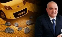 Diyarbakır’ın göbeğinde korku sahneleri: 'Cırdon' istilası yüzünden mahalleli nöbette!