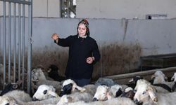 3 çocuk annesi girişimciden büyük mücadele