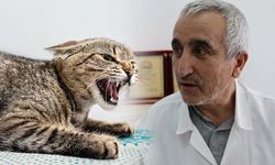 Diyarbakır’da kuduz vakasının ardından uzman uyardı: Tırmalama da risk taşıyor