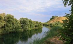 Gaziantep Kuş Cenneti’nde sona gelindi