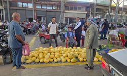 Diyarbakır Çermik kavunu tezgahlarda