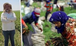 Mevsimlik tarım işçilerine yönelik saldırıya Diyarbakır’dan tepki