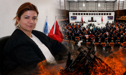 AK Parti Diyarbakır Milletvekili Ataman'dan çerçeve yasaya destek