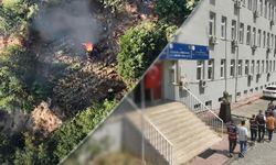 Diyarbakır’da yasa dışı kenevir ekimine büyük darbe