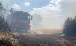 Diyarbakır'da korkutan örtü ve orman yangını