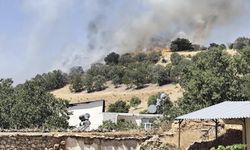 Diyarbakır Çermik'teki yangın büyümeden söndürüldü