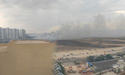 Diyarbakır’da hastanelerin yanında yangın paniği: Araçlar tahliye edildi