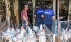 Diyarbakır'da zabıta baskını! 17 iş yeri ve 1 kesimhane mühürlendi