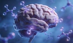 Alzheimer 2050’ye kadar 2,5 kat artabilir