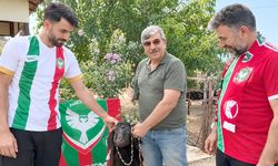 Amedspor lider oldu, taraftar kurban kesti
