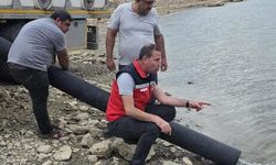 Diyarbakır’da balık yavruları suyla buluştu