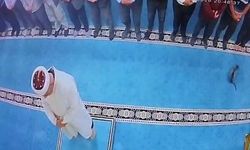 Namaz kılarken kediyi tekmeleyen şahıs gözaltına alındı!