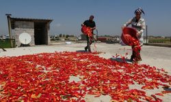 Hatay’dan Diyarbakır’a giden acının serüveni
