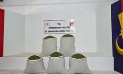 Diyarbakır’da uyuşturucuya darbe: 35 şüpheli hakkında işlem yapıldı