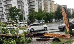 Meteoroloji gün ve saat verdi Diyarbakır’da fırtına uyarısı